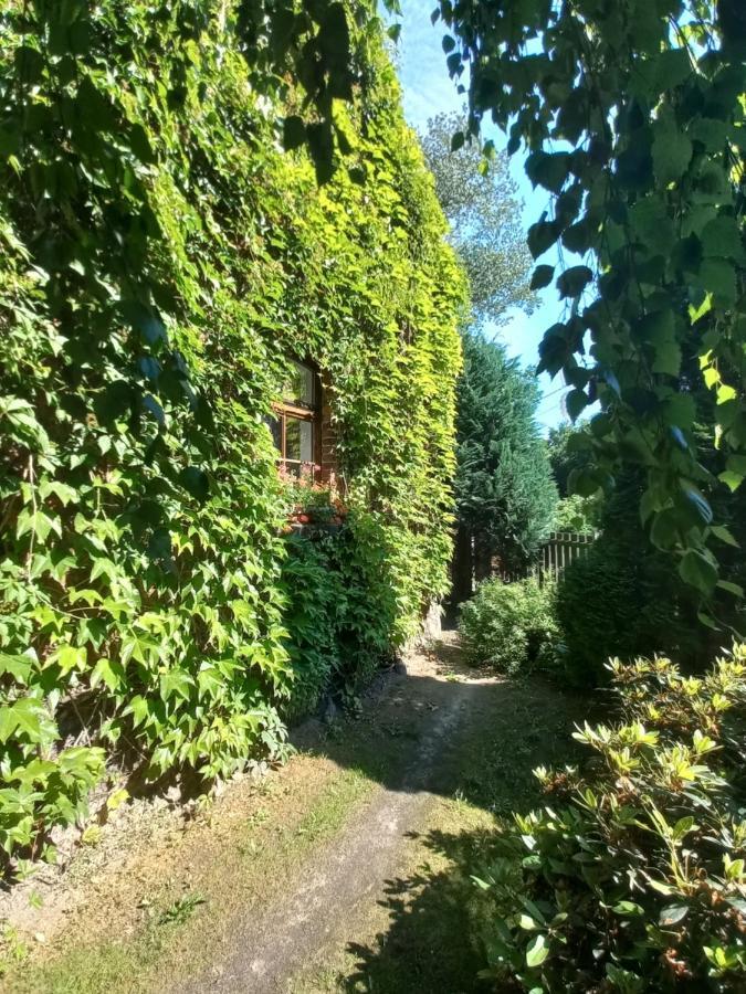 Avalon Polchowo Kamien Pomorski Exteriör bild