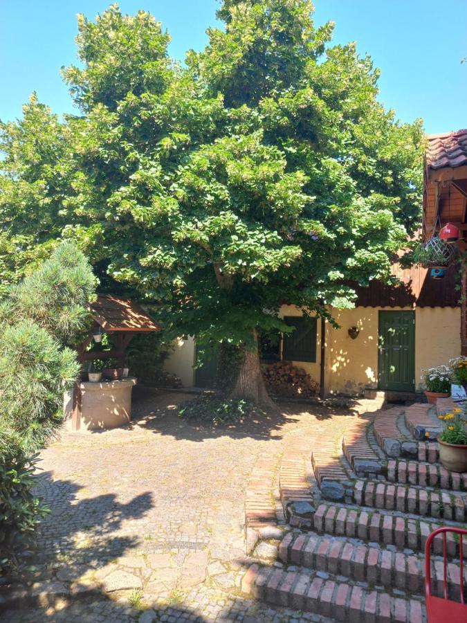 Avalon Polchowo Kamien Pomorski Exteriör bild