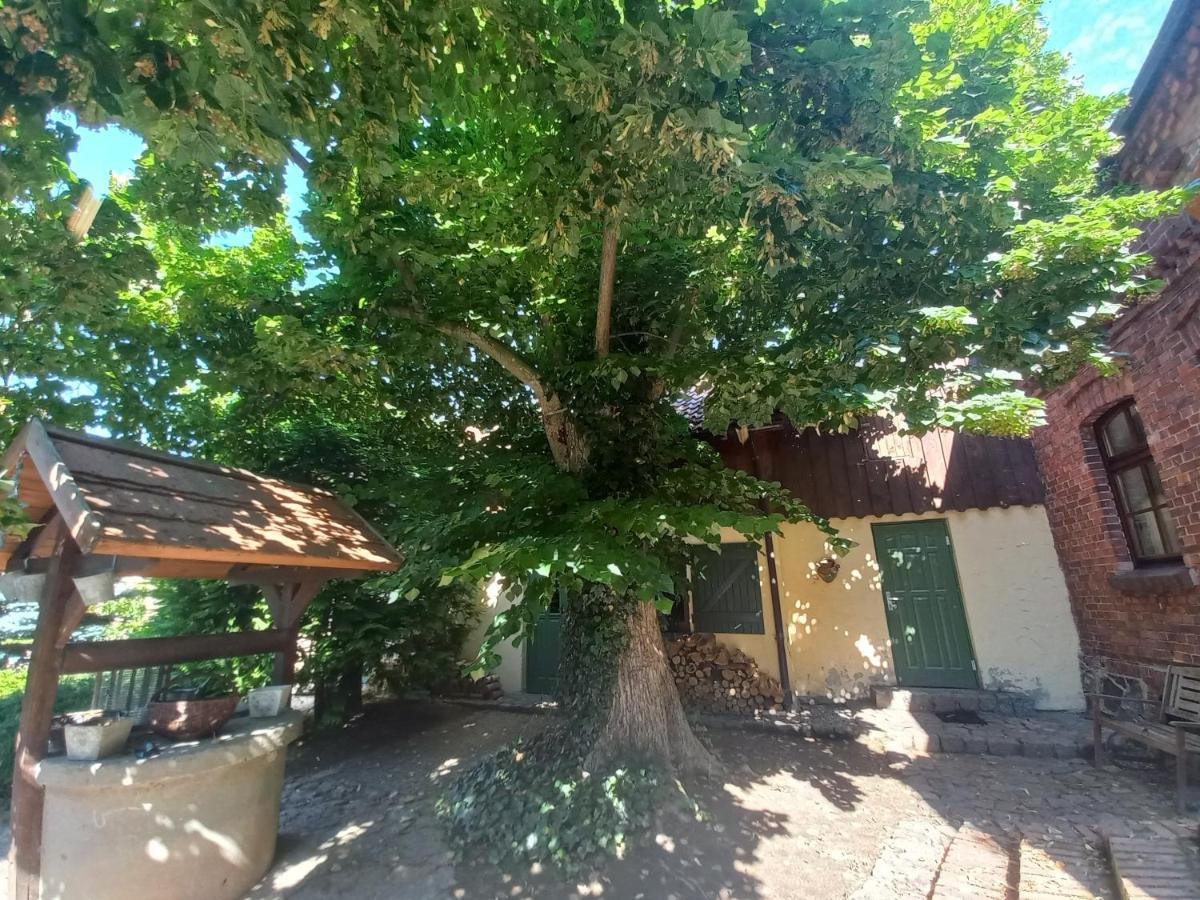 Avalon Polchowo Kamien Pomorski Exteriör bild