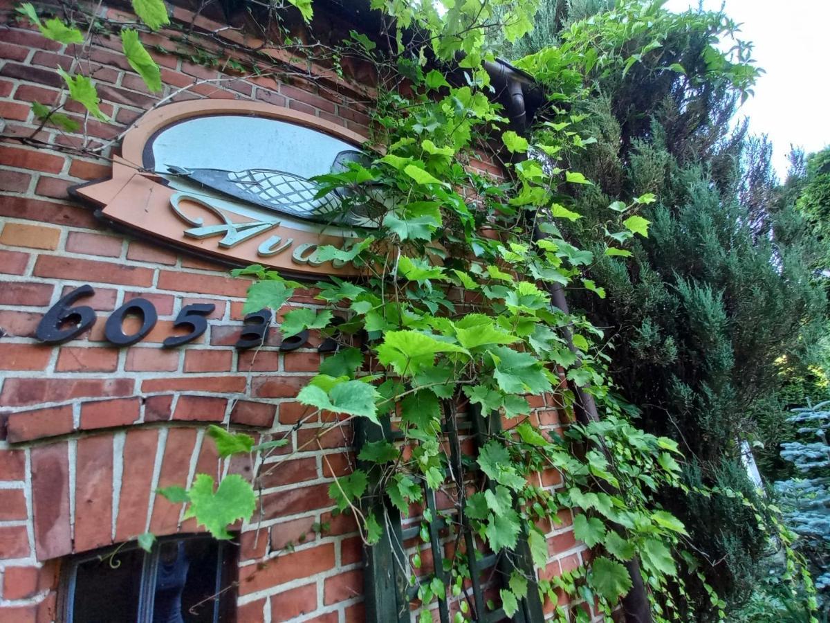 Avalon Polchowo Kamien Pomorski Exteriör bild
