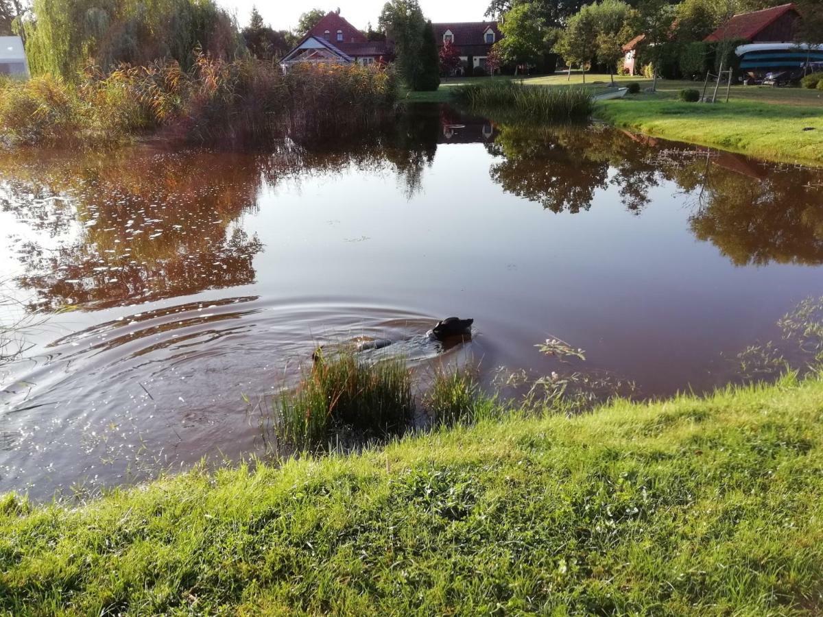 Avalon Polchowo Kamien Pomorski Exteriör bild